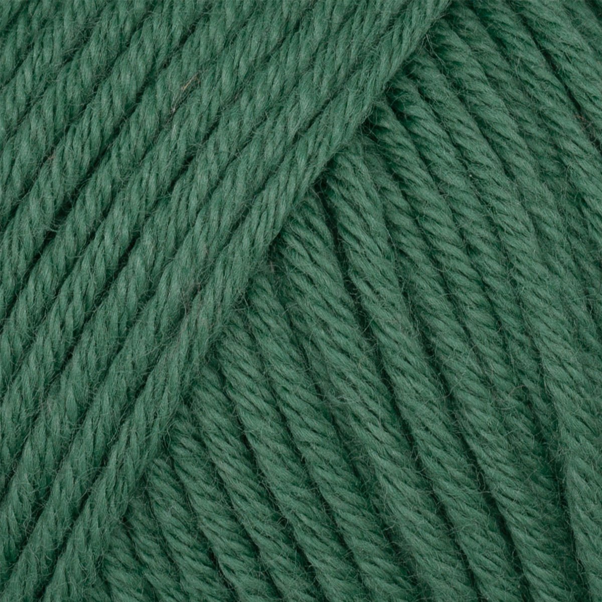 Organic Baby Cotton Yelek 427 - 36-40 BEDEN